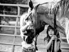 atlanta-family-portraits-horse002