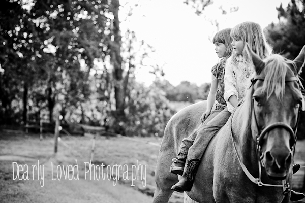 atlanta horse photographer